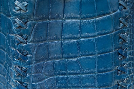 Crocodile belly skin.