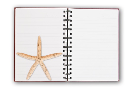 Star fish and notebookの写真素材