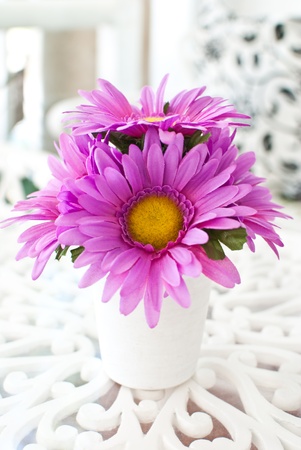 Beauty flower.の写真素材