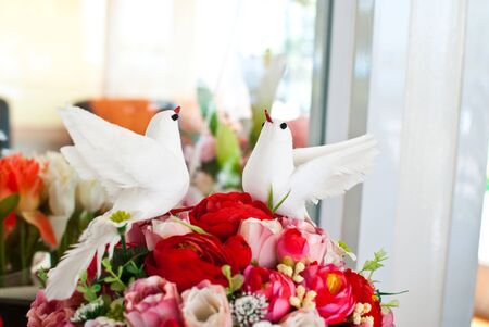 White bird on flower.の写真素材