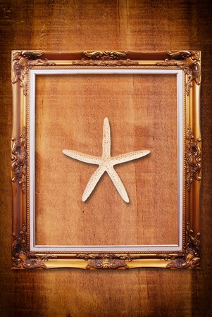 Photo frame on the wood texture.の写真素材