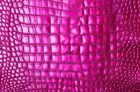 Vintage pink crocodile skin texture の写真素材