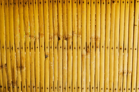 Vintage Bamboo texture background の写真素材