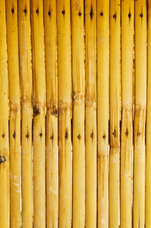 Vintage Bamboo texture background.の写真素材