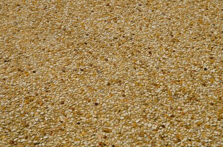 Sand texture on the beach の写真素材