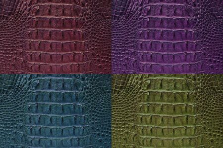 Set of Crocodile bone skin texture background 