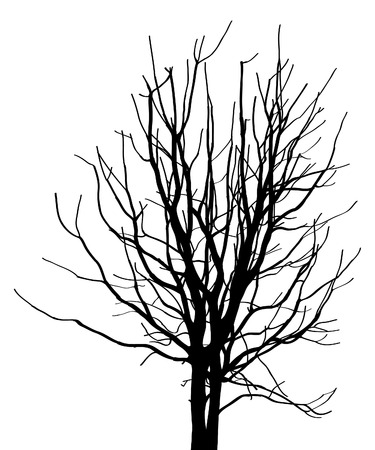 Dead Tree without Leaves Illustration Sketched, のイラスト素材