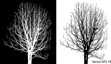 Dead Tree without Leaves Vector Illustration Sketchedのイラスト素材