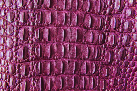 Crocodile bone skin texture background. Crocodile bone skin texture background. This image of...