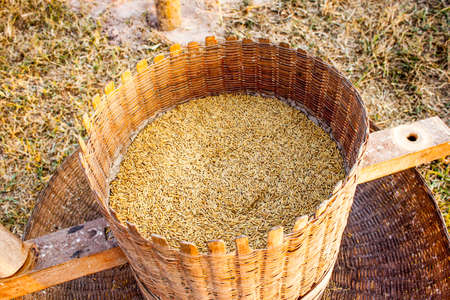 Full rice in Thai bucket top view.の写真素材