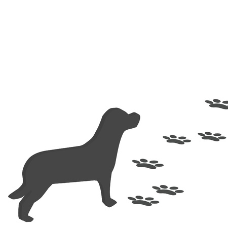 The poor dog was left behind.のイラスト素材