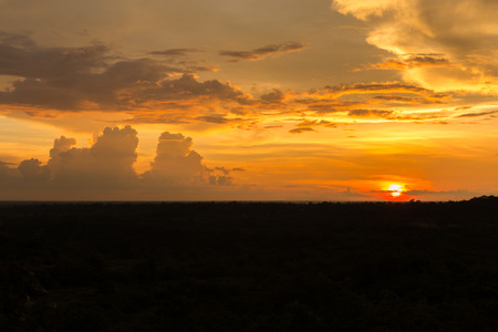 dramatic sunset in forestの写真素材