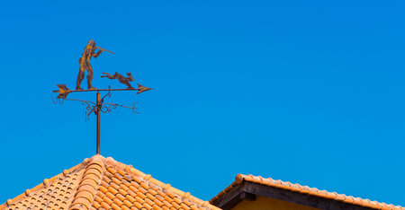 Pointer on the roof north
