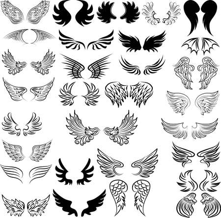 Set of bird wings for heraldry design. Set of wingsのイラスト素材