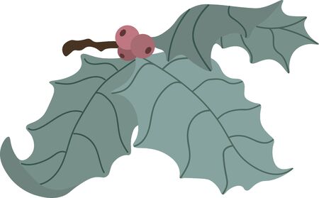 Holly berry christmas leaves icon vector image for winted cards and other decoration and designのイラスト素材