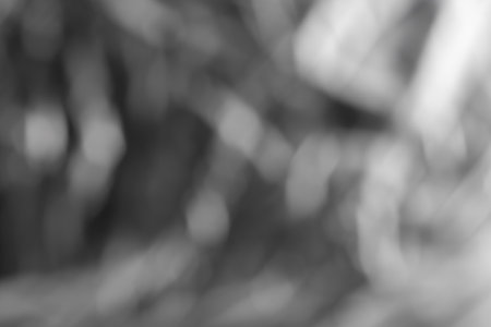 Blur background black and white abstract bokehの写真素材