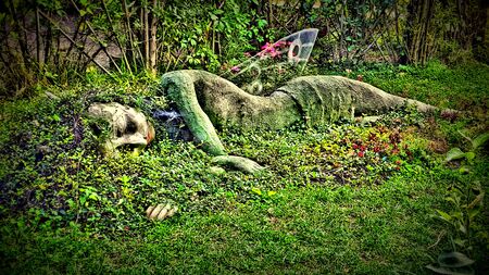 Sleeping forest spiritの写真素材
