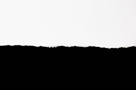 white ripped paper edge texture overlay background for use as layerの写真素材