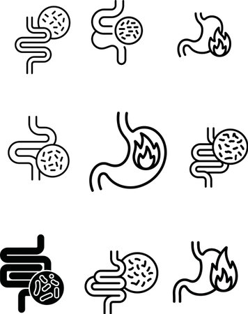 Digestive system vector illustration featuring stomach digestion with gut health gastrointestinal tract. Includes abdominal pain and colon. Good for digestive illustration, digestive organ, digestive problem, poor digestion, healthy digestion, gastro symptoms, digestion process, stomach ache and digestive discomfort.のイラスト素材