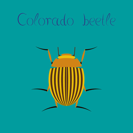 flat illustration on stylish background Colorado beetleのイラスト素材