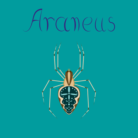 flat illustration on stylish background spider Araneusのイラスト素材