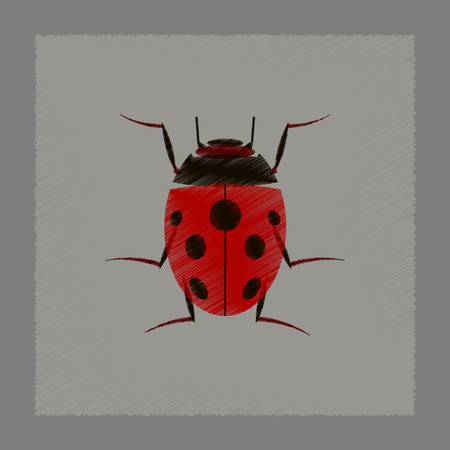 flat shading style illustration of insect ladybugのイラスト素材