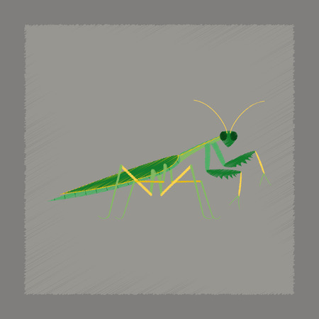 flat shading style illustration of Mantisのイラスト素材