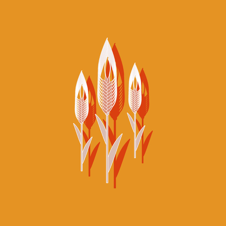 paper sticker on stylish background of triticumのイラスト素材