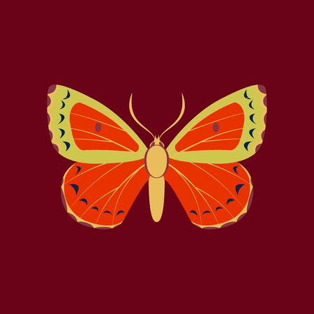 Colorful flat icon of butterfly isolated on redのイラスト素材