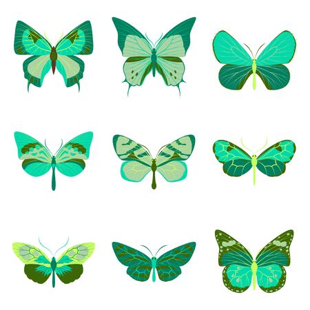 Big collection of colorful butterfliesのイラスト素材