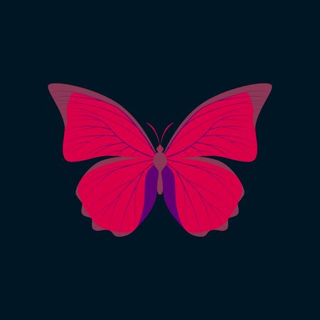Colorful flat icon of butterfly isolated on dark blueのイラスト素材