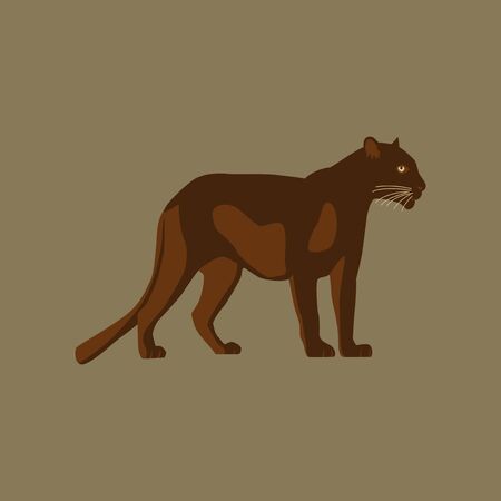 Vector illustration in flat style pantherのイラスト素材