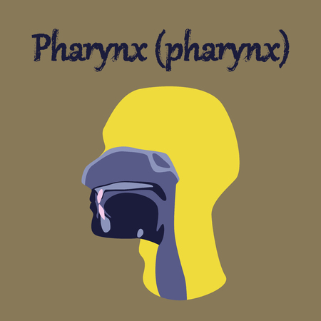 human organ icon in flat style pharynxのイラスト素材