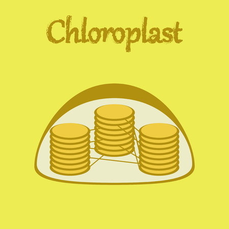icon in flat style chloroplastのイラスト素材