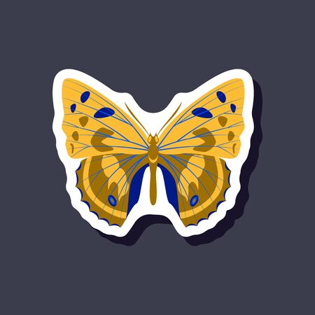butterfly paper sticker on stylish backgroundのイラスト素材