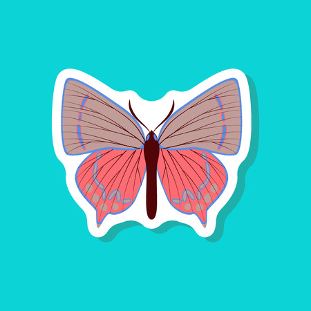 butterfly paper sticker on stylish backgroundのイラスト素材
