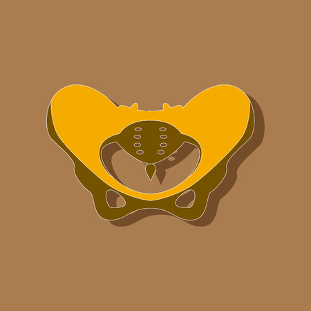 pelvic bones paper sticker on stylish backgroundのイラスト素材