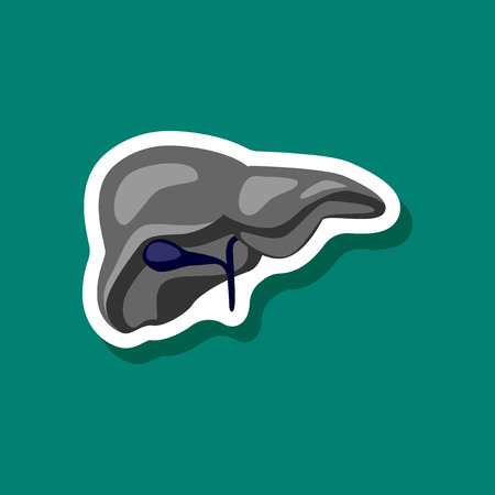 liver paper sticker on stylish backgroundのイラスト素材