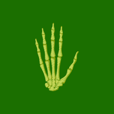 flat shading style icon wrist boneのイラスト素材