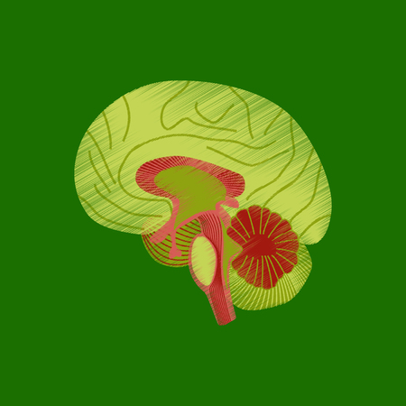 flat shading style icon brainのイラスト素材