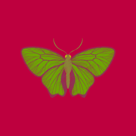 Flat shading style icon butterflyのイラスト素材