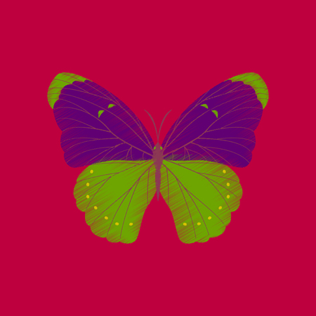 Flat shading style icon butterflyのイラスト素材