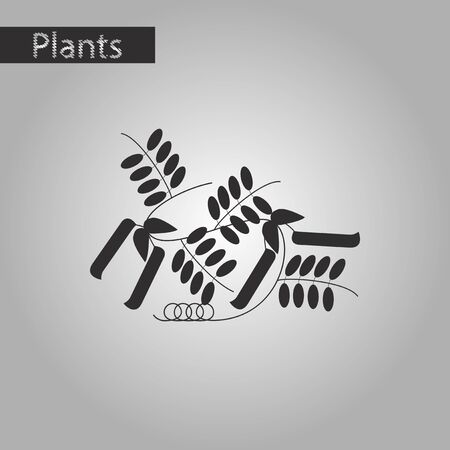 Black and white style icon of natural pisumのイラスト素材