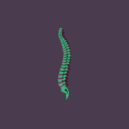 flat shading style icon vertebral columnのイラスト素材