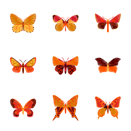 set of flat shading style icon butterflyのイラスト素材