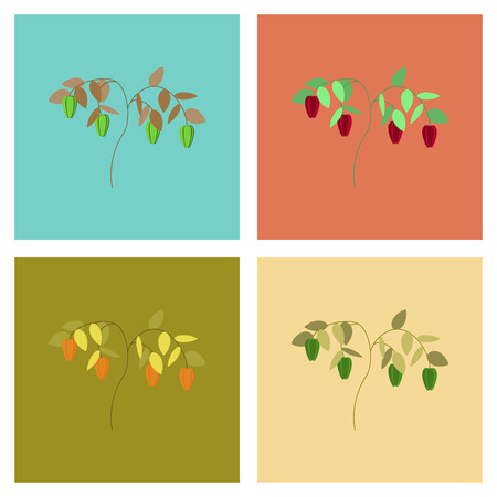 assembly flat Illustrations plant capsicum pepperのイラスト素材