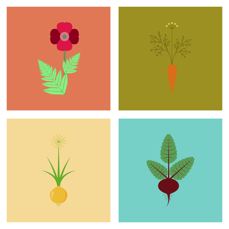assembly flat Illustrations flower papaver daucus carota allium betaのイラスト素材