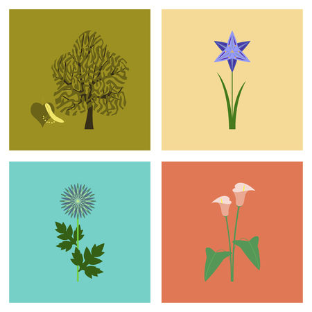 assembly flat Illustrations flower calla aster narcissus lindenのイラスト素材