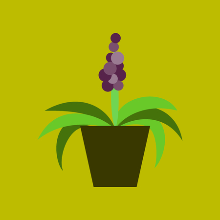 Icon in flat design hyacinthのイラスト素材