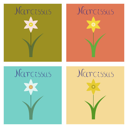 assembly of flat Illustrations nature plant Narcissusのイラスト素材